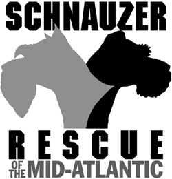 Miniature Schnauzer Rescue of Houston